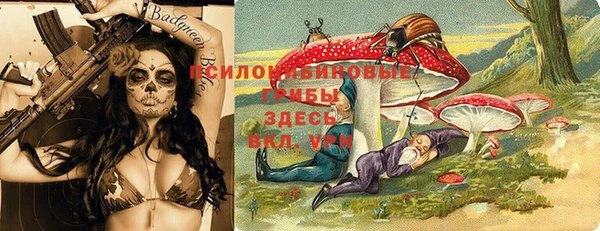 стаф Карталы