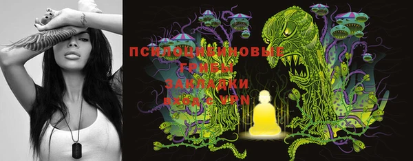 гашик Кинешма