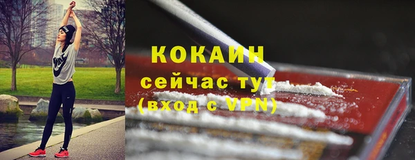 гашик Кинешма