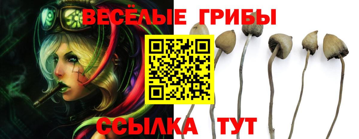 Галлюциногенные грибы Magic Shrooms  Вход с VPN  Красноперекопск 
